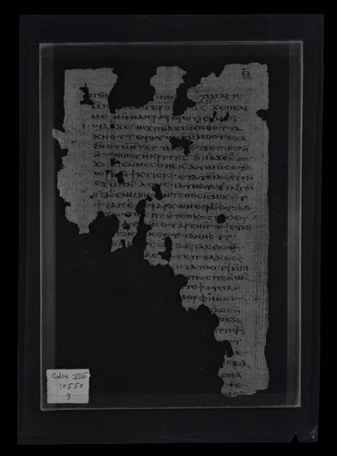 Codex VIII, papyrus page 9