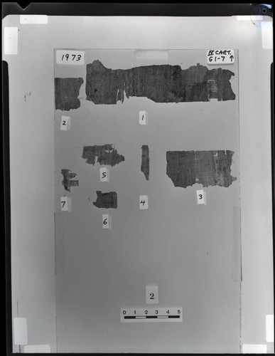Codex IV cartonnage fragments
