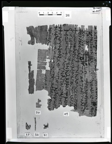 Codex VII cartonnage fragments