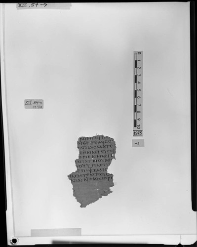 Codex XII, papyrus page 54