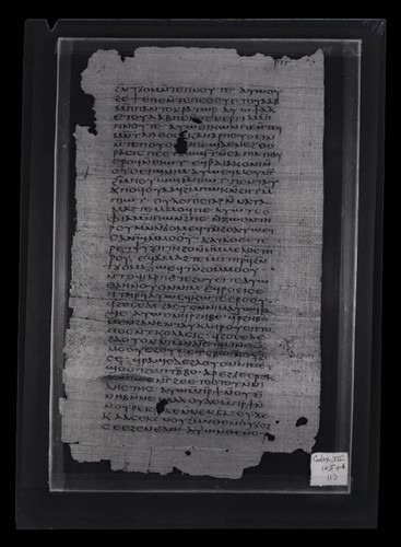 Codex VII, papyrus page 113