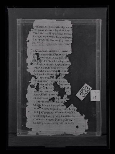 Codex IX, papyrus page 29