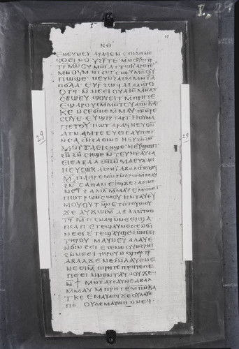 Codex I, papyrus page 29