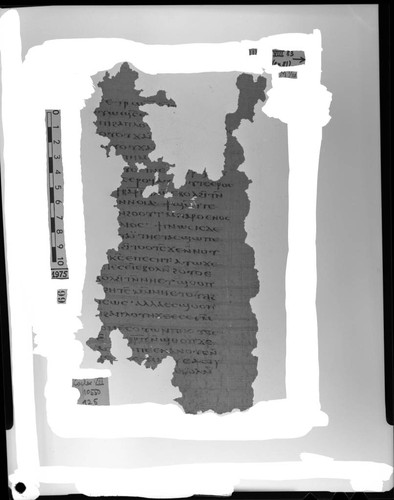 Codex VIII, papyrus page 83