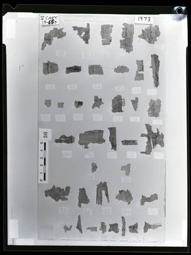 Codex V cartonnage fragments, verso