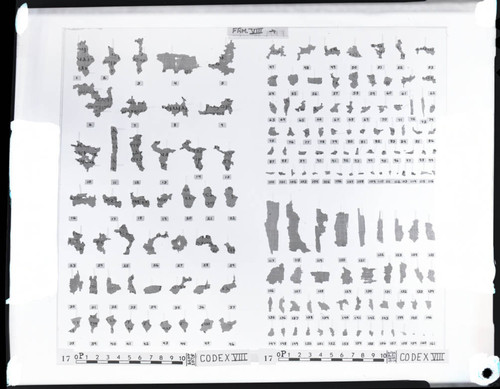 Codex VIII papyri fragments, recto