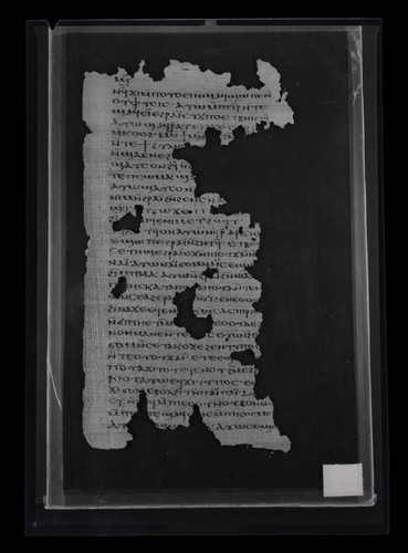 Codex VIII, papyrus page 46