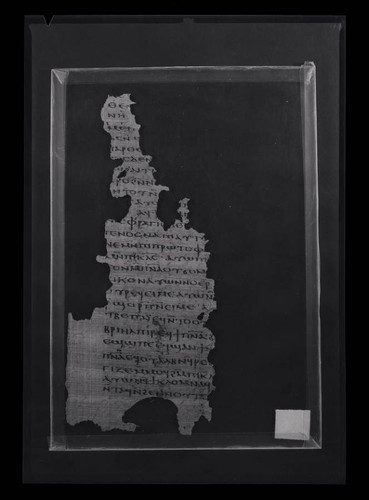 Codex VIII, papyrus page 58