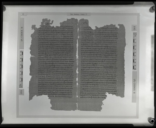 Codex II, papyrus pages 42 and 101