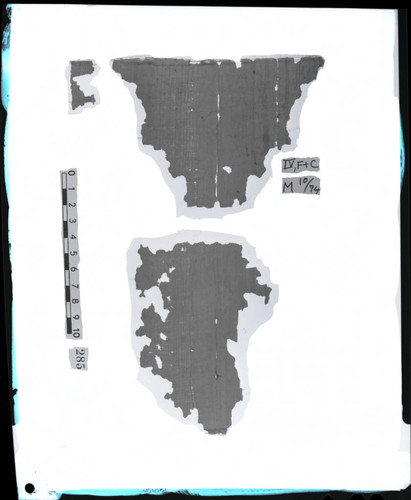 Codex IV, F and C