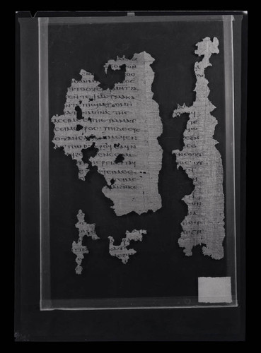 Codex VIII, papyrus page 87 & 89