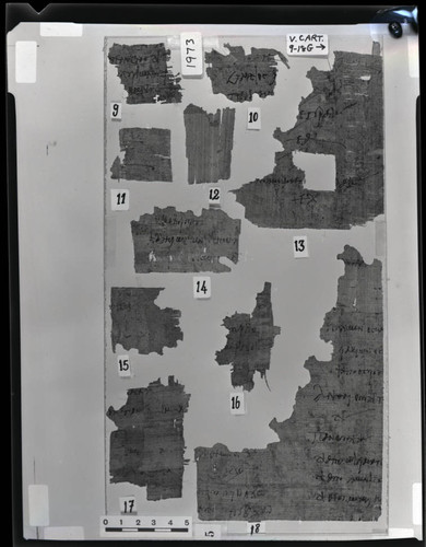 Codex V cartonnage fragments