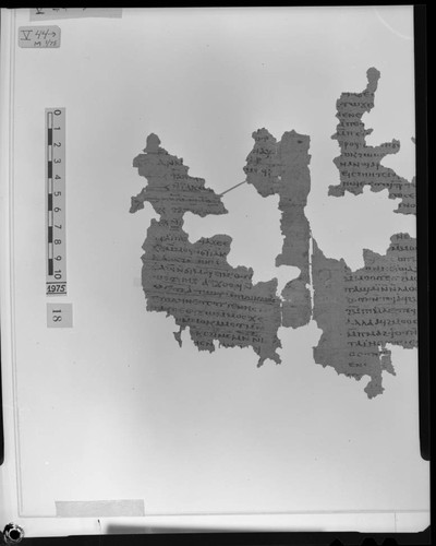 Codex V, papyrus pages 44 and 45