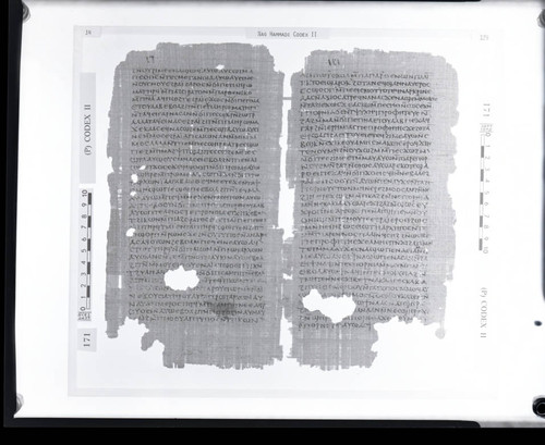 Codex II, papyrus pages 14 and 129