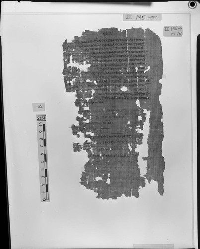 Codex II, papyrus page 145