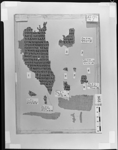 Codex XII papyri fragments