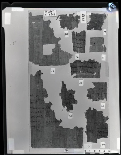 Codex V cartonnage fragments