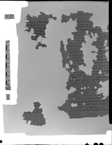 Codex IX, papyrus page 8