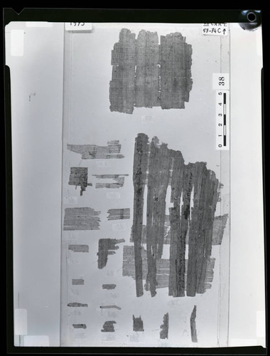 Codex VII cartonnage fragments, verso