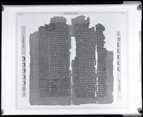 Codex I, papyrus pages 16 and 69