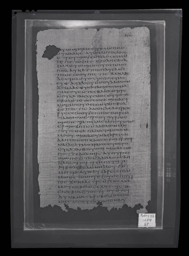 Codex VII, papyrus page 25