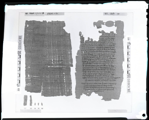 Codex VII flyleaf B and papyrus page 127