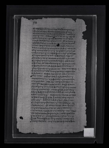 Codex VII, papyrus page 112