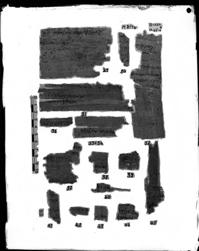 Codex VII cartonnage fragments