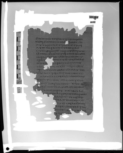 Codex VIII, papyrus page 125