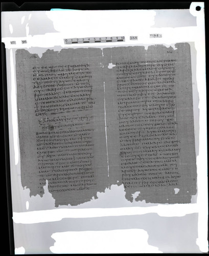 Codex VII, papyri pages 84 and 45