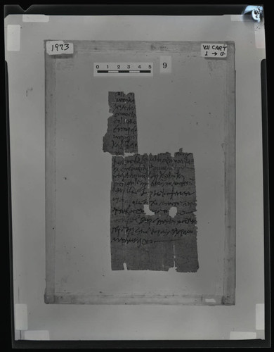 Codex VII cartonnage fragments