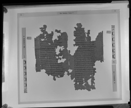 Codex V, papyrus pages 36 and 53