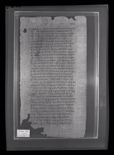 Codex VII, papyrus page 47