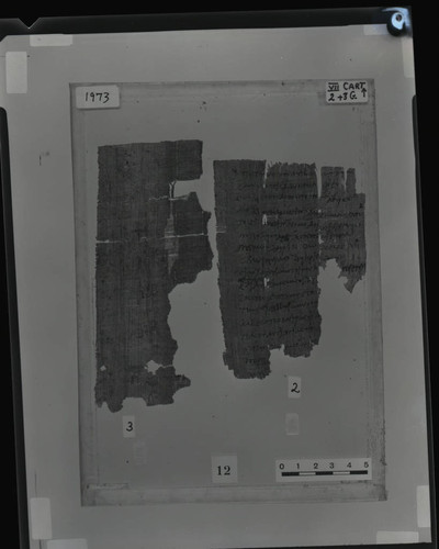 Codex VII cartonnage fragments