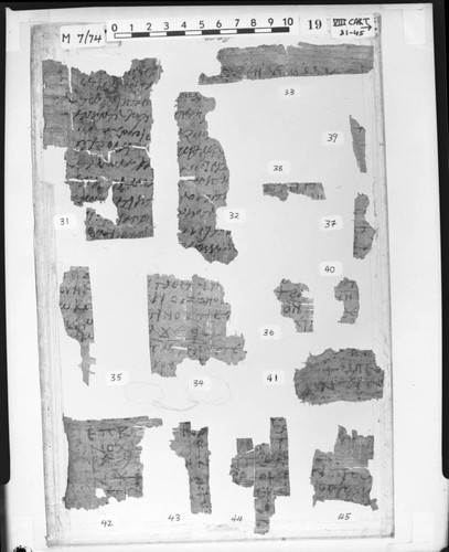 Codex VIII cartonnage fragments 31-45, recto