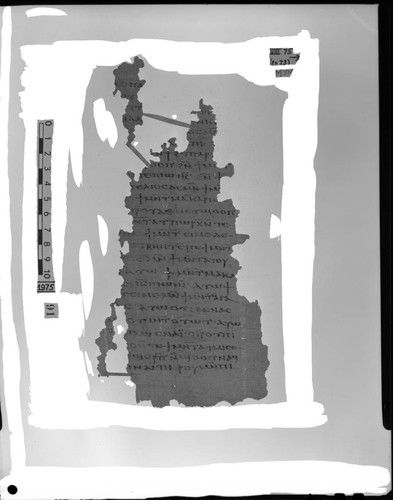 Codex VIII, papyrus page 75