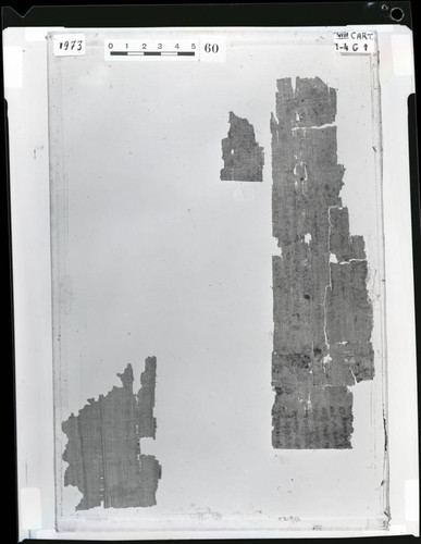 Codex VIII cartonnage fragments, verso