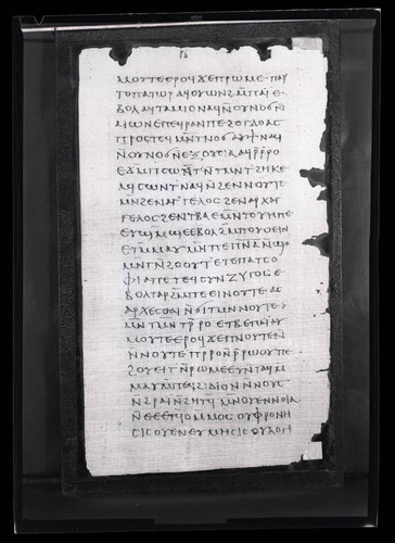 Codex III, papyrus page 102