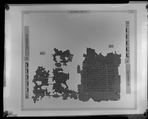 Codex XI, papyrus pages 6 and 65