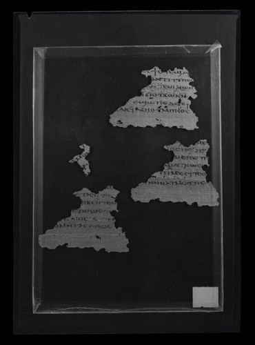 Codex VIII, papyrus page unknown