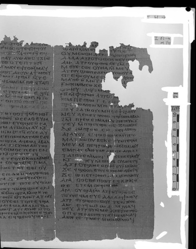 Codex I, papyrus page 61