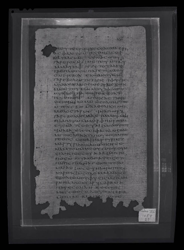 Codex VII, papyrus page 29