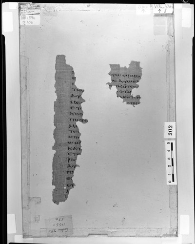 Codex VIII Papyrus page 106