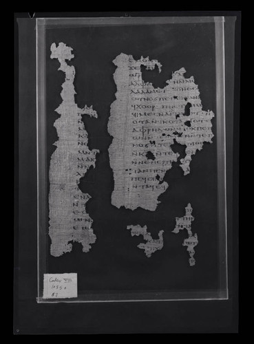 Codex VIII, papyrus page 88 & 90