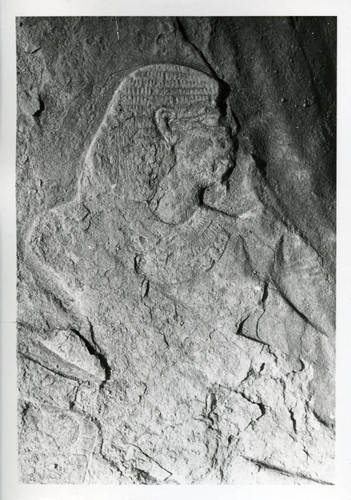 Close-up of Egyptian tomb figure Cave T 152