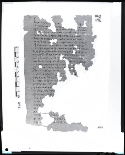 Codex VIII, papyrus page 10