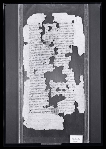 Codex II, papyrus page 5