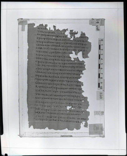 Codex VIII, papyrus page 138