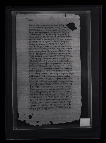 Codex VII, papyrus page 22