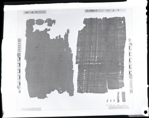 Codex VII papyri flyleafs C and A